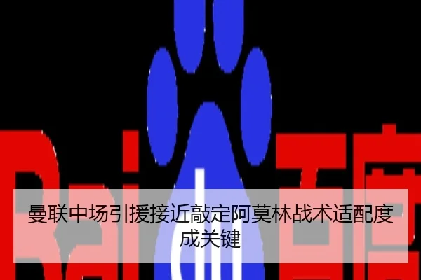 曼联中场引援接近敲定阿莫林战术适配度成关键